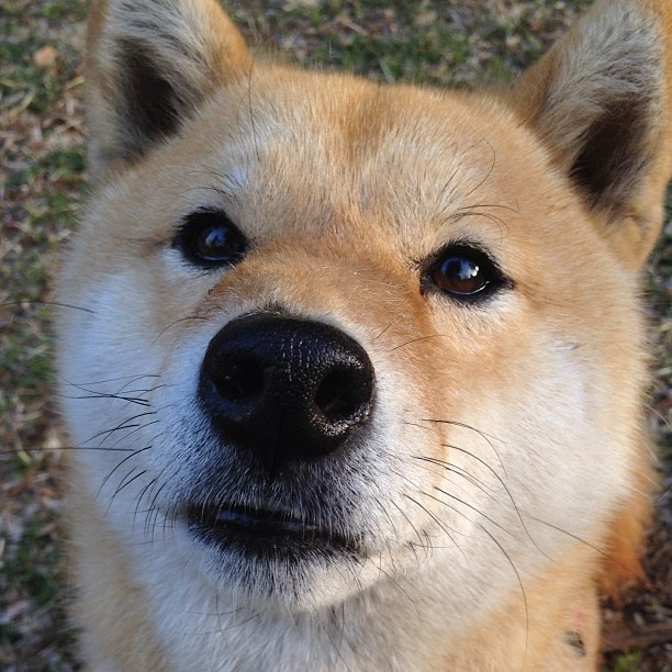 英超球队赛季中期体能衰减趋势与恢复方案探讨,英超休赛期多长时间