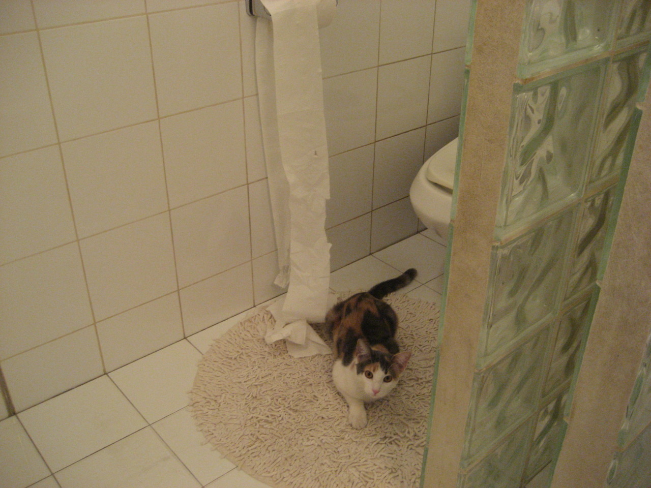 体育新闻中心参与冬季运动项目数字化改造计划，冬季体能训练新闻稿