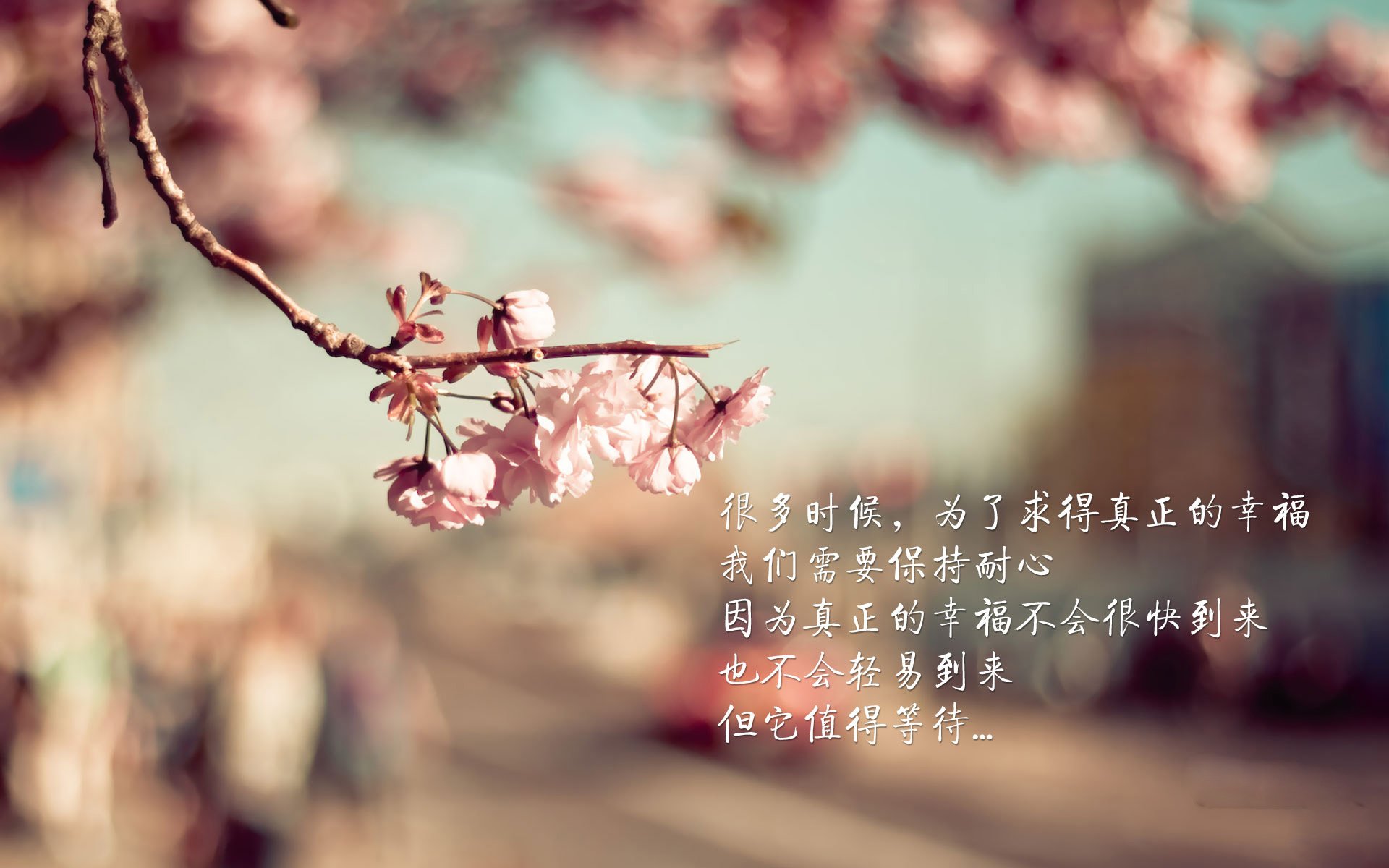 开云体育在线登入-瑞典乒乓球队未来发展：从战略深度到战术创新，瑞典乒乓球的兴衰