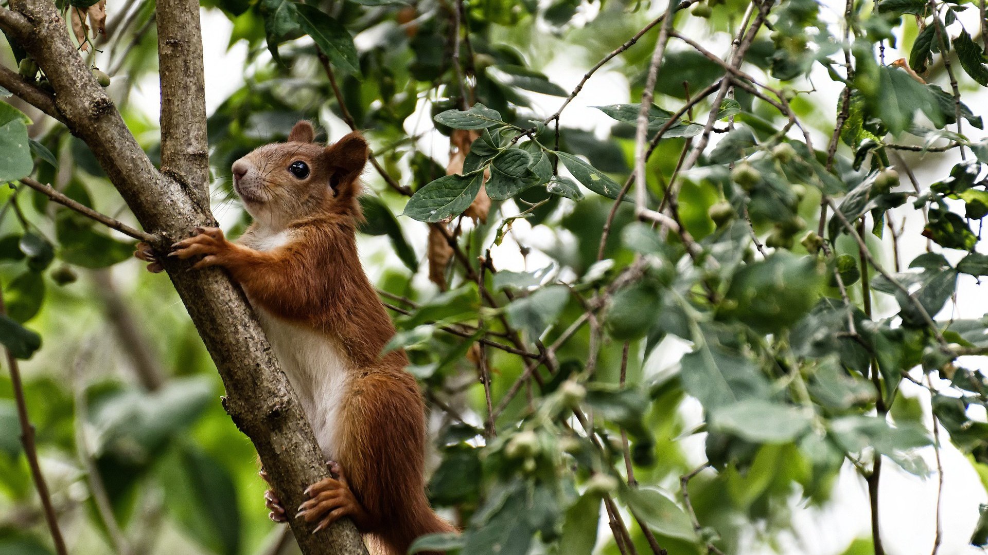 开云体育官网登入-篮球赛季季后赛竞争白热化，篮球季后赛和常规赛的区别