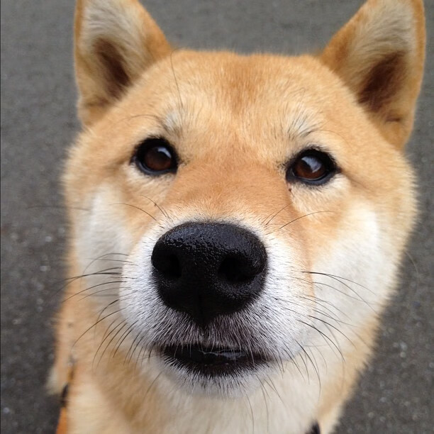 世界杯逆天逆转:英雄再造奇迹!,世界杯大逆转