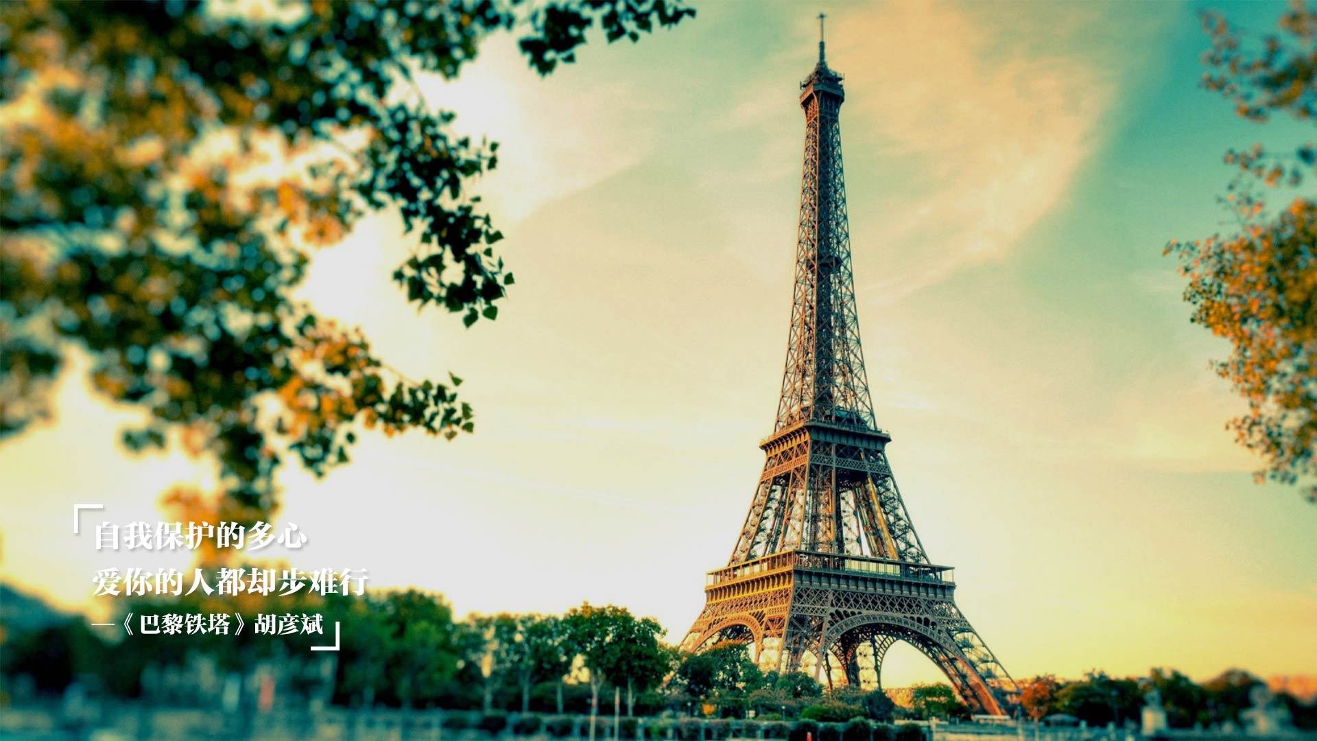 中国足球青训体系注重家庭心理支持项目，中国足球青训体制