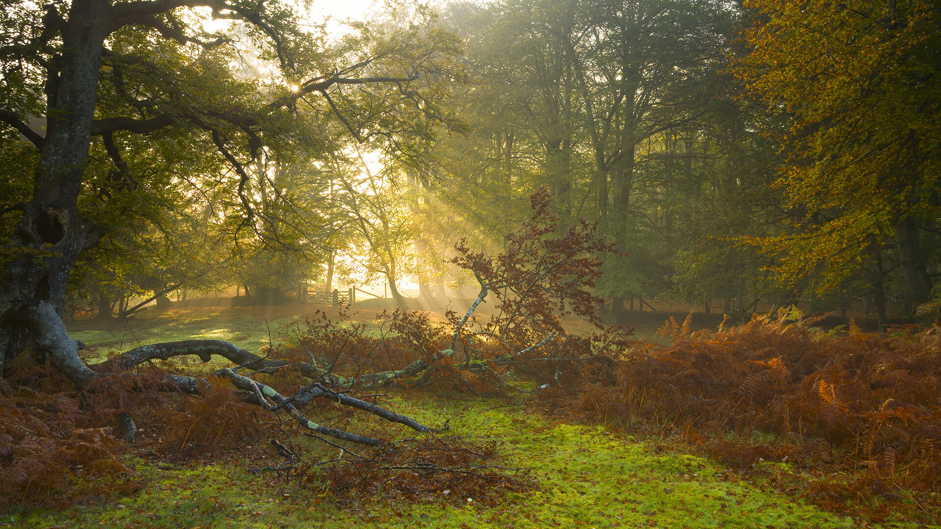 开云体育app-英国男子4×200米自由泳接力决赛强势亮相，4×200米自由泳接力比赛视频