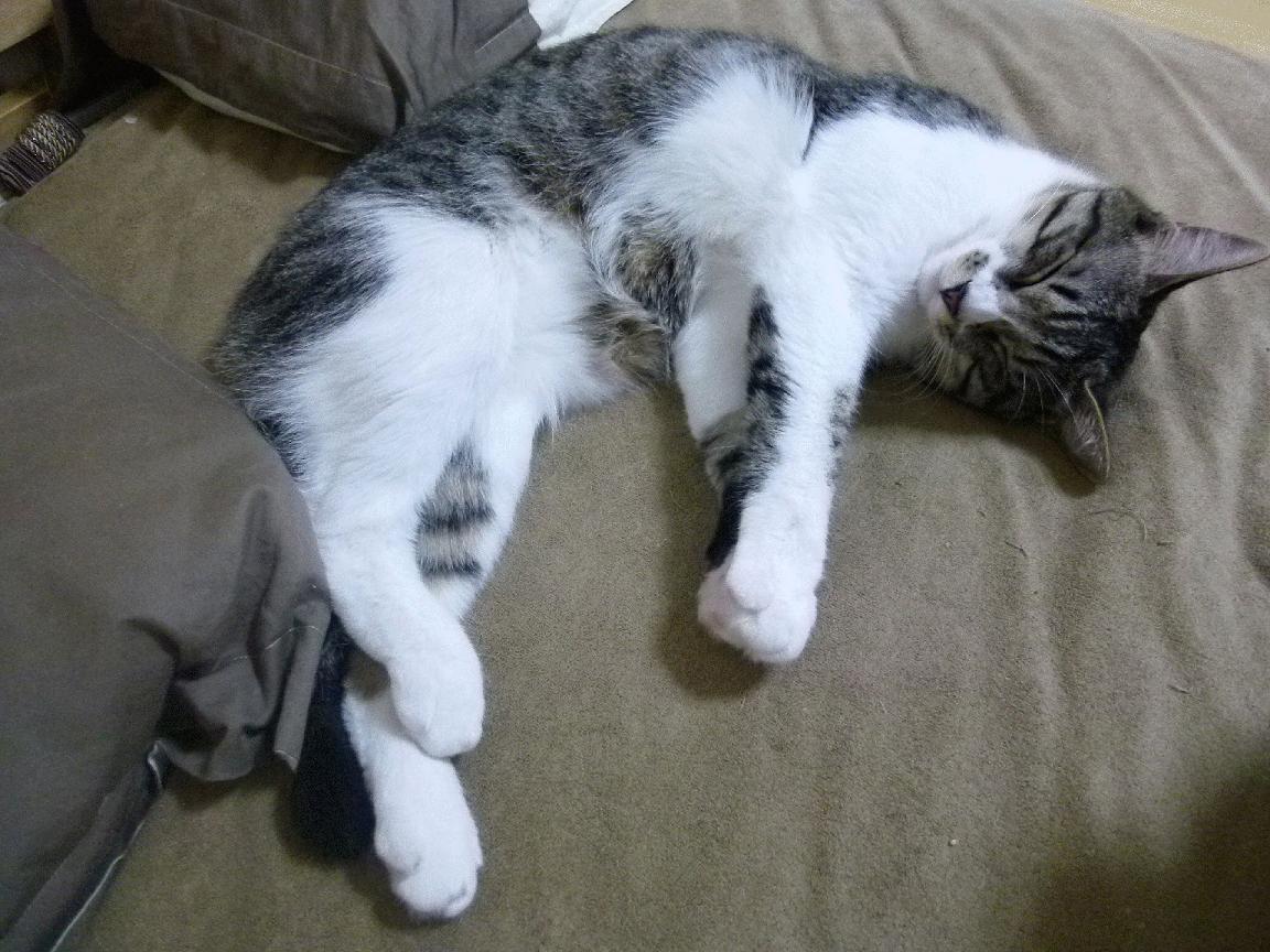 中国足球职业俱乐部债务风波的制度性原因剖析，中国足球俱乐部收入来源