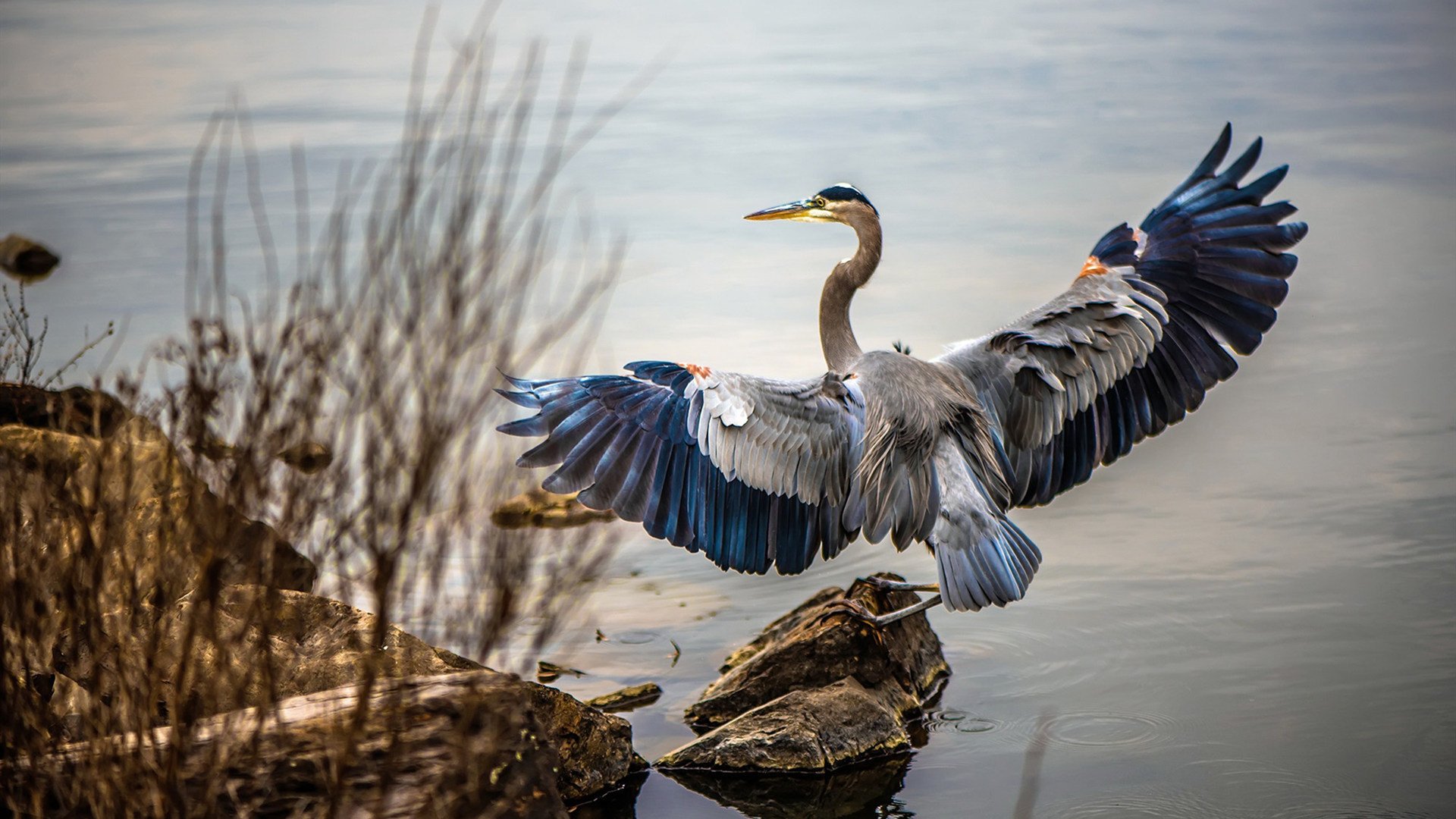中国足球退役政策与球员再就业技能培训机制，足球 退役